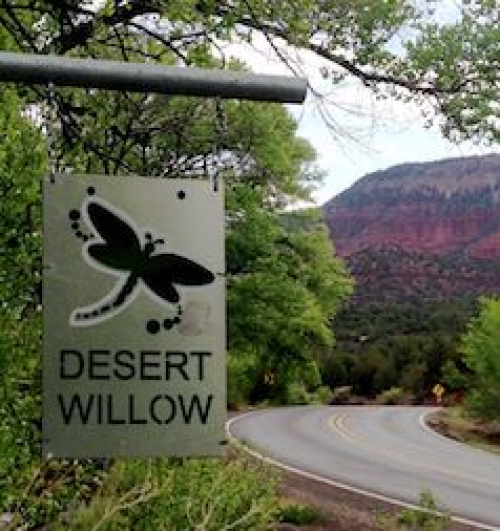 The Dragonfly Cottage at Desert Willow Bed and Breakfast