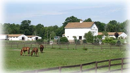 Silent Farm Bed and Breakfast